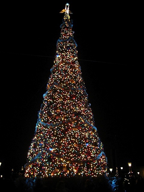 08Christmas121308_19