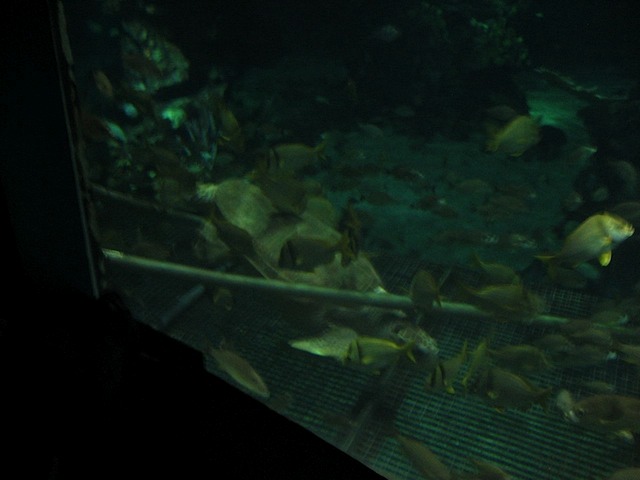 08Christmas121308_03