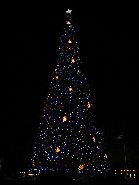 08Christmas121408_30