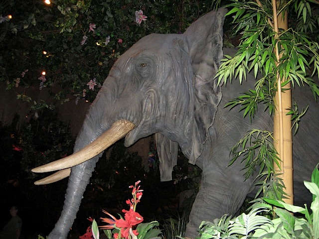 08Christmas121508_02