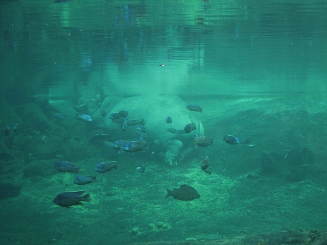 08Christmas121508_10