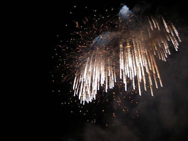 IMG_3901
