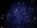 IMG_6571